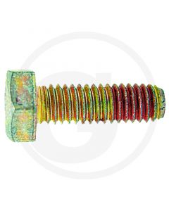 VIJAK GLAVE KOSE 6X18 10.9 DEUTZ FAHR