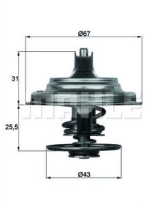 TERMOSTAT 79*C FI67 MAN/MERCEDES